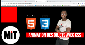 Lire la suite à propos de l’article Comment faire une jolie animation avec css (faire tourner son logo) – En Bambara